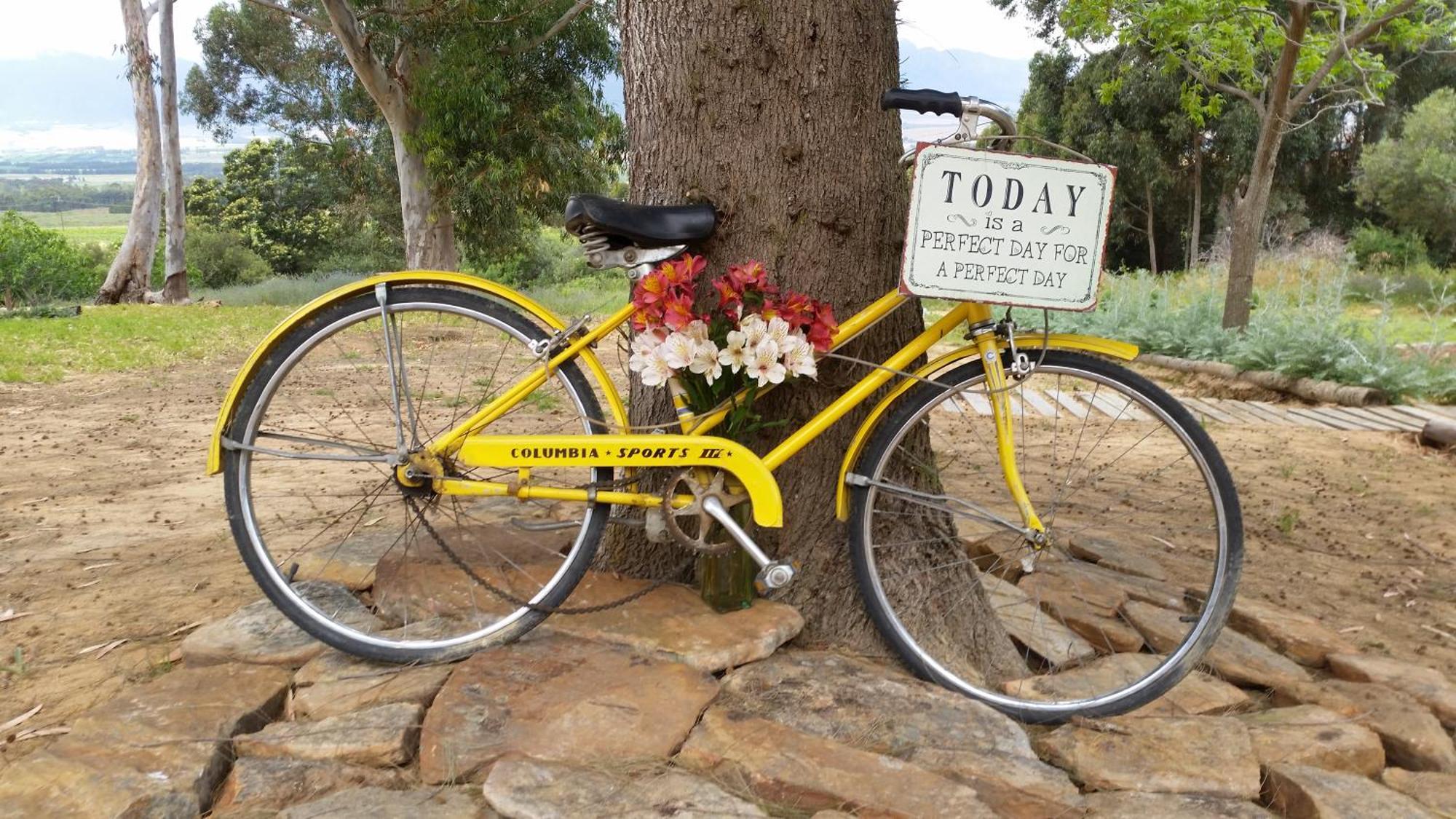 Oudekloof Wine Estate Villa Tulbagh Bagian luar foto